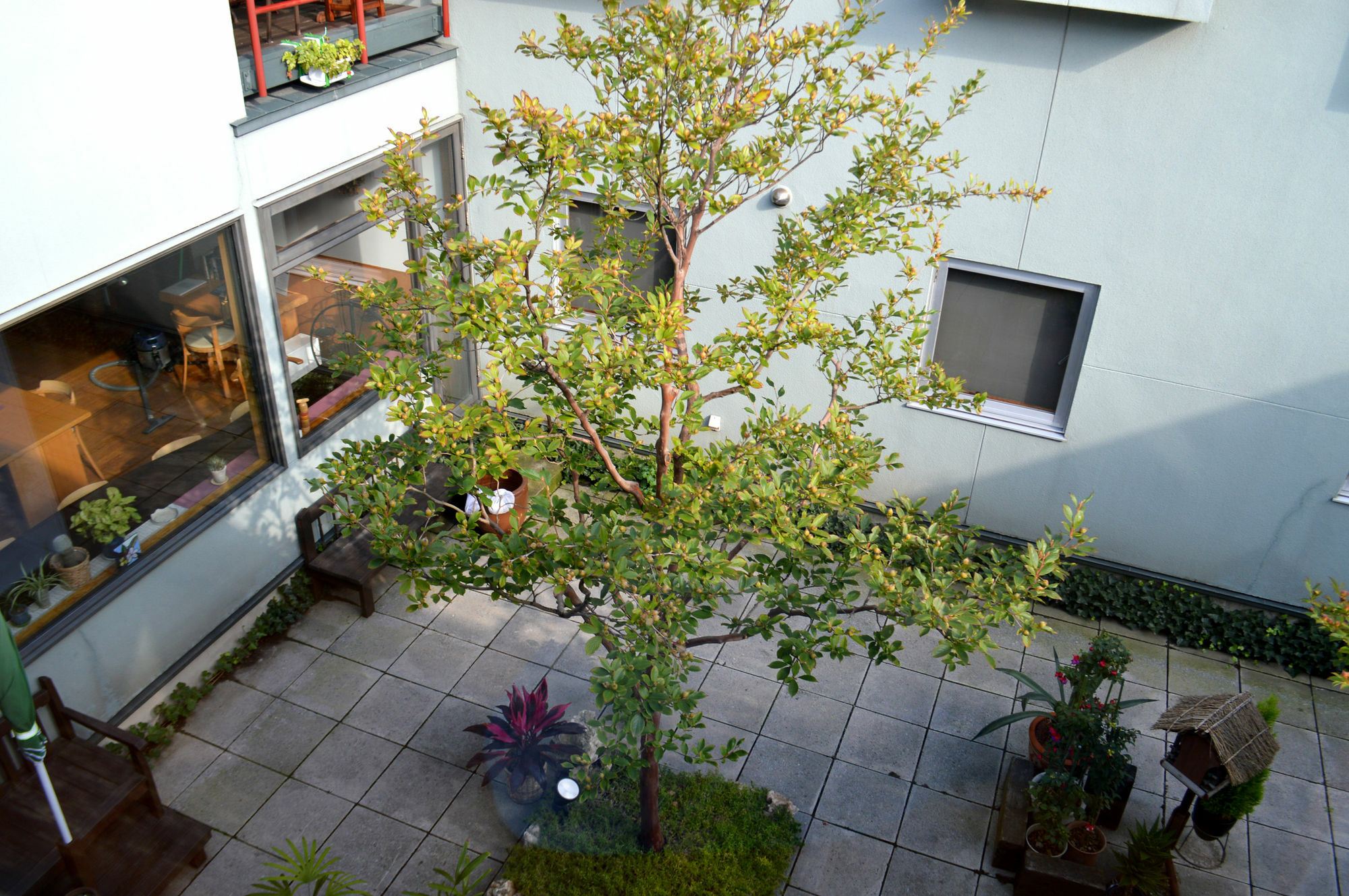 B&B Pension Hakodate-Mura 외부 사진